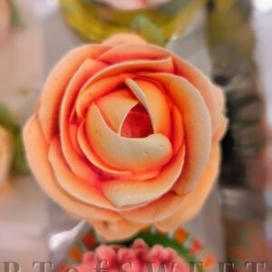 Orange Marshmallow Rose