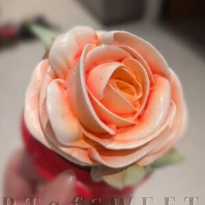 Marshmallow Rose