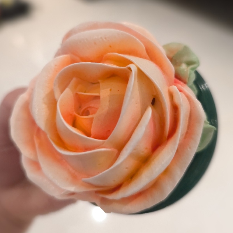 Pastel Marshmallow Rose