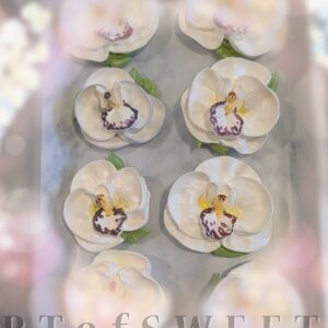 Marshmallow Orchid